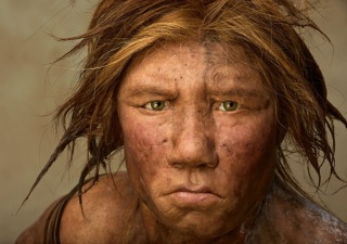 neanderthal615