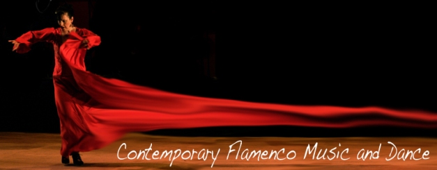 Flamusica & baile